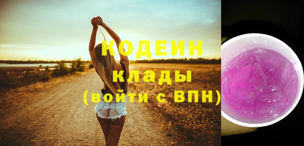 ГАЛЛЮЦИНОГЕННЫЕ ГРИБЫ Михайлов