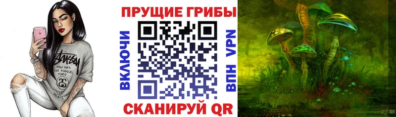 где купить наркотик  Сызрань  Галлюциногенные грибы GOLDEN TEACHER 